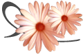 flower Angel look